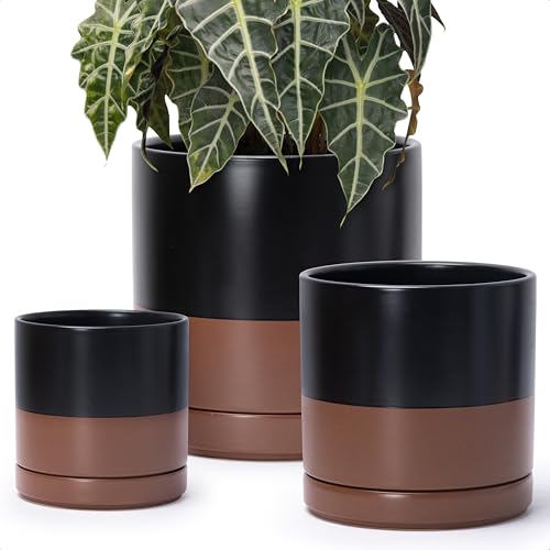D'vine Dev 6 Inch & 8 Inch & 10 Inch, Set of 3 Round Ceramic Planter Pot with Drainage Hole and Saucer, Black/Speckled Tan, 94-T-L-7 - color: Black/Speckled Tan, size: 6"+8"+10"
