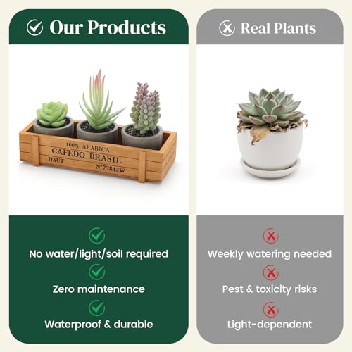 DomeStar Set of 3 Mini Potted Artificial Succulent Plants with Wood Planter | Indoor Office Desk, Apartment Wedding Tabletop, Greenery Decorations