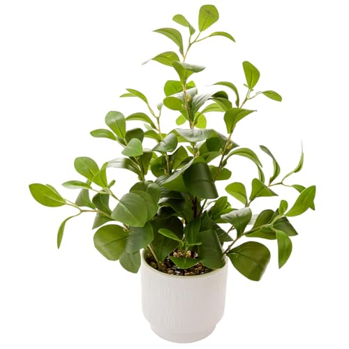 16'' Artificial Ficus Plant in White Textured Ceramic Pot Realistic Faux Greenery with Lifelike Leaves Fake Plants for Indoor Home Office Bathroom Shelf Desk Tabletop Decor - color: Ficus