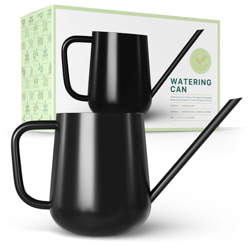 Metal Watering Can for Indoor Houseplants Outdoor Garden Long Sprout Water Can for Succulents Herb Bonsai Modern Garden Tool 33.8oz/1000ml (Dashing Black) - color: Dashing Black