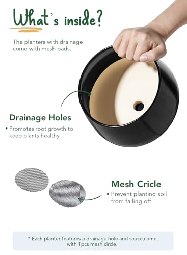 LE TAUCI Plant Pots, 4.1+5.1+6.5 inch, Set of 3, Ceramic Planters with Drainage Hole and Saucer, Indoor Flower Pot with Hole Mesh Pad, Gifts for Mom, Black - color: Black