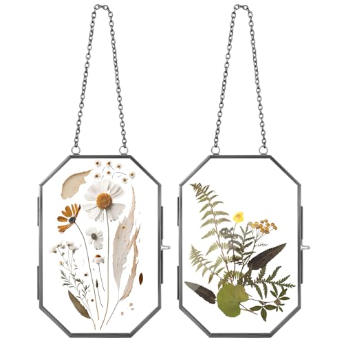 Qunclay 2 Pcs Double Glass Frame for Pressed Flower Frames Floating Wall Hanging Metal Chain for Display Dried Plant Specimen Picture Pretty Gifts for Mom Friends DIY Handy Craft(Black,5 x 7 Inch) - color: Black, size: 5 x 7 Inch