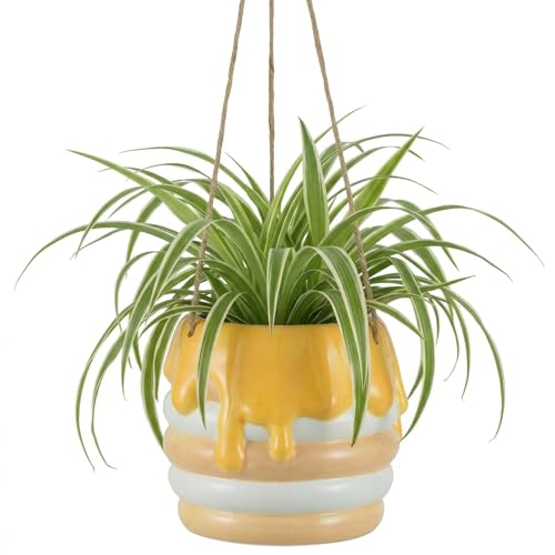 Bee Hanging Planter Gifts for Women: Ceramic Flower Pot with Drainage - color: Milky White & Beige-honey Jar