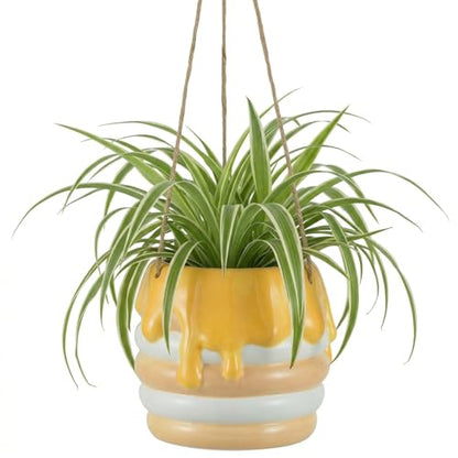 Bee Hanging Planter Gifts for Women: Ceramic Flower Pot with Drainage - color: Milky White & Beige-honey Jar