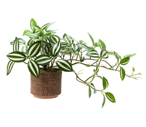8.5" Artificial Trailing Peperomia Vine in Textured Light Coffee Ceramic Pot 12" Wide Lifelike Faux Round-Leaf Plant for Indoor Home Office Desk Shelf Bathroom Decor - color: Large-green