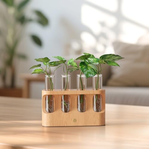Rechargeable Plant Propagation Station with Stepless Dimming Lights | Wooden Stand, 4 Glass Test Tubes, Home Decor for Hydroponic Plants, Unique Gifts for Women & Plant Lovers