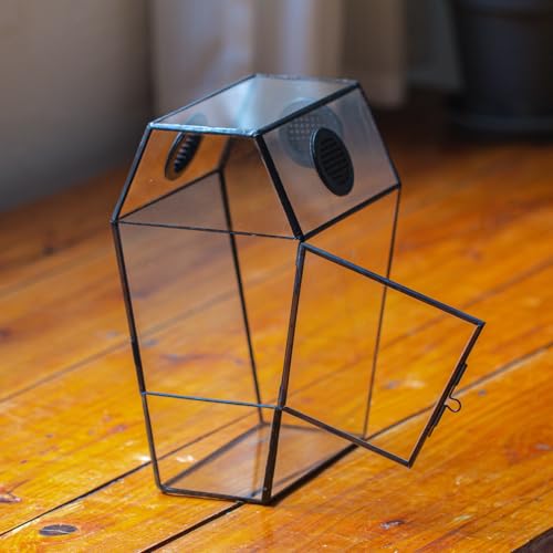NCYP Gothic Glass Enclosure for Jumping Spider, Snails, Insects - Front Opening Door Geometric Terrarium with Vent Holes, Indoor Tabletop Coffin Shape Decor, Black (Terrarium Only)