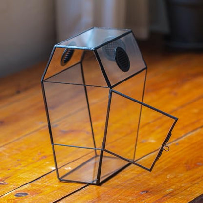 NCYP Gothic Glass Enclosure for Jumping Spider, Snails, Insects - Front Opening Door Geometric Terrarium with Vent Holes, Indoor Tabletop Coffin Shape Decor, Black (Terrarium Only)