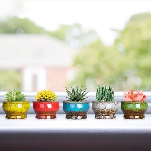 ARTKETTY Succulent Pots, 4.3 Inch Small Plant Pots with Drainage Set of 5 | Ceramic Pots for Indoor Plants Glazed Cactus Flower Planter Container - color: 4.3"-round(5pcs)