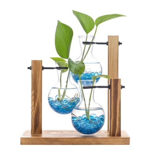Plant Propagation Station，Hydroponic Glass Bulb Vase with Wooden Stand Decorative Propagation Stations with Blue Glass Beads for Home Desk Office Gardening Gifts for Mom Women Plant Lovers