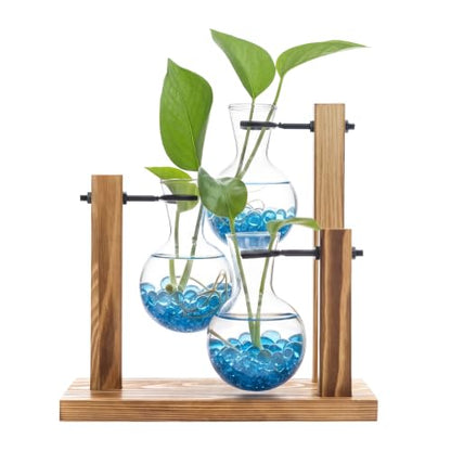 Plant Propagation Station，Hydroponic Glass Bulb Vase with Wooden Stand Decorative Propagation Stations with Blue Glass Beads for Home Desk Office Gardening Gifts for Mom Women Plant Lovers