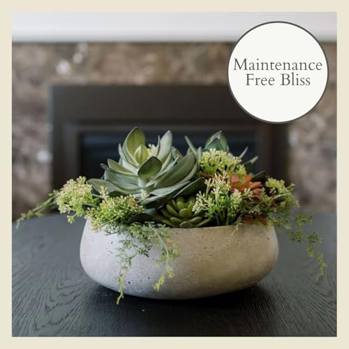 Round Faux Succulent Arrangement, 14" Premium Artificial Indoor Plant Enhances Interior Design, Display on Any Surface in Your Home Adding an Inviting Touch of Nature, Natural Planter Pot Included - size: 14" Round Natural