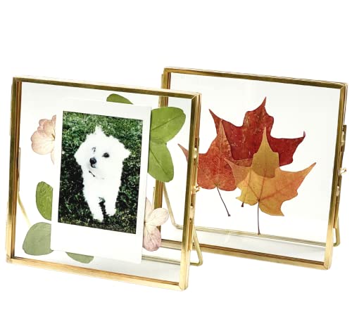 Beedecor Double Glass Frame for Pressed Flowers, Leaf and Artwork - Gold 4x4 Standing Square Metal Picture Frames, Tabletop Clear Floating Pressed Glass Frame, Home Decor Photo Display, Set of 2 - color: Gold, size: 4x4