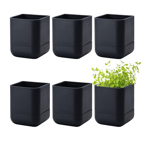 Phoenix Vine 3.5 Inch Wall Mounted Self-Watering Planter Pot for Indoor Houseplants and Herbs | Hanging Planter for Window Sills, Bathroom Walls, Home & Office Décor, Black, Set of 6, 01-A-E-6 - color: Black, size: 3.5" (6 Pack)