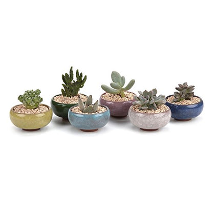 T4U 2.5 Inch Small Ceramic Succulent Planter Pot with Drainage Hole Set of 6, Ice Crack Glaze Plant Container for Cactus, Gardening Plant Gifts for Women Mom Aunt Home Office Decor | Cactus planters set, indoor herb garden, bonsai tree starter, tabletop c