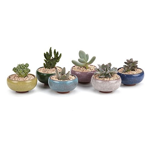 T4U 2.5 Inch Small Ceramic Succulent Planter Pot with Drainage Hole Set of 6, Ice Crack Glaze Plant Container for Cactus, Gardening Plant Gifts for Women Mom Aunt Home Office Decor | Cactus planters set, indoor herb garden, bonsai tree starter, tabletop c