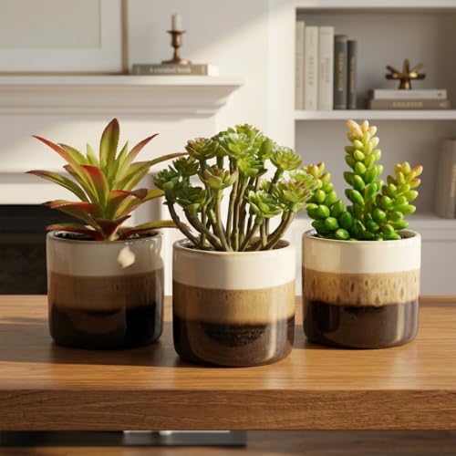 Small Artificial Plants in Pots, Set of 3 Faux Succulents | Mini potted greenery in glossy ceramic pots. Lifelike, maintenance-free shelf, desk & living room decor accessories