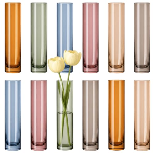 Colorful Glass Cylinder Bud Vases,Colorful Small vases Set of 12 Wedding Table Decor for Single Rose,Home Decor,Centerpieces,Arrangements - color: Mix