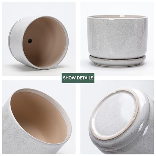 Ceramic Planters,Plant Pots with Saucers Set of 3(Reactive Glaze White) | Colorful Ceramic Planters for Indoor Plants | Medium Plant Pots | Cute Herb Planting Pots | 4+5+6.5 Inch Garden Pots - color: Speck