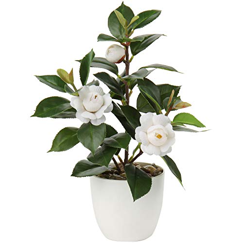 Briful Artificial Plants Mini Camellia Potted Fake Plants Small Faux Plastic Plants Desk Plant Artificial Flowers with Vase for Home Office Desk Kitchen Garden Indoor Decor - color: Style #4