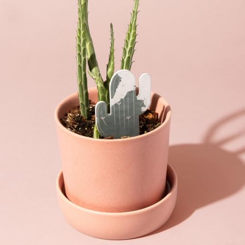 Paper-Based Soil Moisture Meter for Houseplants – Know When to Water, Prevent Overwatering – 5 Pack (PlantDoc Cactus) - style: Cactus PlantDoc - 5 Pack