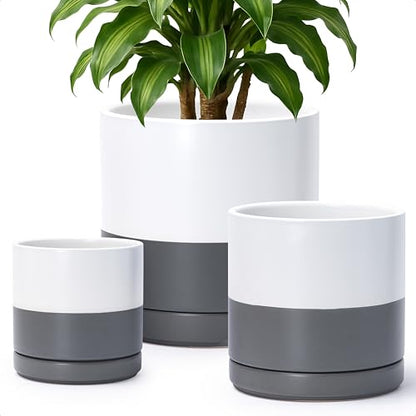 D'vine Dev 3-Pack Ceramic Pots & Saucers, 6/8/10 in, White/Grey, 94-T-L-6 | Glazed Ceramic, Drainage Hole, Perfect-Fit Saucer, Sleek Cylinder Shape, High Temperature Fired, Elegant Home Accent - color: White/Speckled Grey, size: 6"+8"+10"