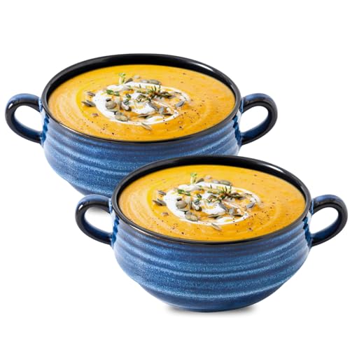 HASENSE French Onion Soup Bowls with Handles, 20 Oz Ceramic Soup Crocks Set of 2, Stackable Serving Bowls for Chili, Stew, Cereal & Pasta, Microwave Dishwasher Safe, Blue Farmhouse Kitchenware - color: Blue, size: Set of 2