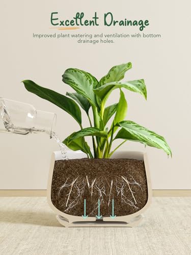 LE TAUCI Ceramic Plant Pots, 4.1+5.1+6.5 inch, Set of 3, Planters with Drainage Hole and Saucer, Indoor Flower Pot with Hole Mesh Pad, Gifts for Mom, White - color: White