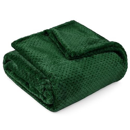PAVILIA Fleece Throw Blanket for Couch Sofa Bed, Emerald Green 60x80 Twin | 280 GSM Soft Fuzzy Waffle Textured Jacquard Microfiber, Warm Lightweight Fade-Resistant Decorative Decor, All Season Gift - color: Emerald Green, size: 60 X 80 Inches - Twin