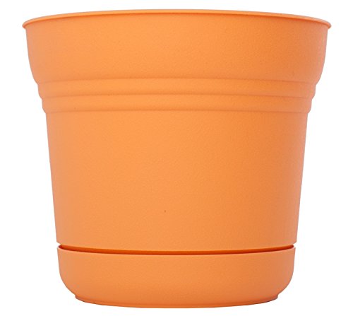 Bloem 818573014641 SP0520 Saturn Planter, 5-Inch, Tequila Sunrise, 5" - color: Tequila Sunrise, size: 5"