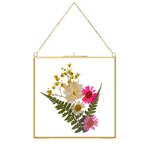 TLBTEK 6 inch Hanging Photo Frame, Double Glass Frame for Pressed Flowers,Clear DIY Vintage Artwork Display Frame Wall Mounted Photos Frame - color: 6 x 6 Inch-Black