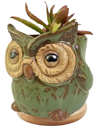 Cute Animal Shaped Vase Pot Home Decoration for Small Succulent Plants Cartoon Flower Pot Ceramic Succulent Planter with Drainage Hole Succulent Holder (Owl) - size: Owl