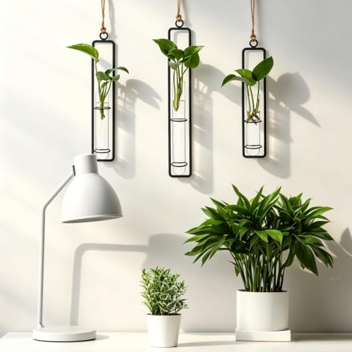 5 Sets Hanging Glass Propagation Station, 3 Styles Iron Frame Transparent Test Tube Plant Vases Wall Mounted Hydroponic Planters for Outdoor Indoor Balcony Home Decor