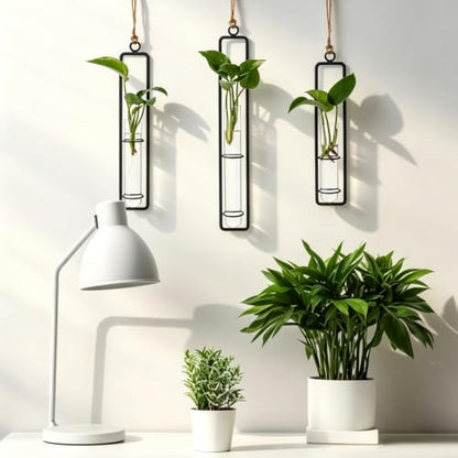 5 Sets Hanging Glass Propagation Station, 3 Styles Iron Frame Transparent Test Tube Plant Vases Wall Mounted Hydroponic Planters for Outdoor Indoor Balcony Home Decor