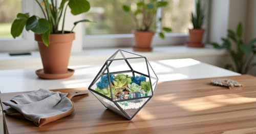 Creations by Nathalie DIY Geometric Glass Terrarium Kit with Moss & Tools | DIY geometric glass terrarium kit with moss, tools, and supplies for creating an indoor terrarium display with your plants. - color: 7” Geometric Dodecahedron