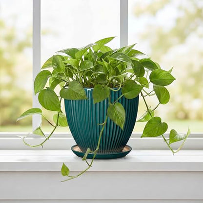 Ceramic Flower Pots, 6 Inch Planters with Drainage Hole and Saucer, Decorative Round Plant Pots for Indoor Plants, Modern Succulent Pot, Office Bedroom Decor, Plant Lover Gifts, Blackish Green - size: 6 Inch, style: Blackish Green