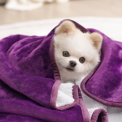 gogobunny Waterproof Bed Blanket, Reversible Sherpa Fleece Throw Blanket for Dog Puppy Cat, Furniture Cover Protects Bed Couch Sofa from Liquid Pee and Pet Fur (Dark Purple, 25x35 inches) - color: Dark Purple, size: 25x35 inches
