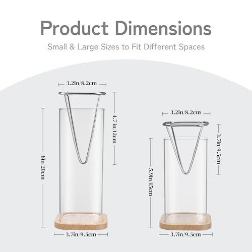 Avocado Seed Growing Kit, Set of 2 Glass Vases with Stainless Steel Holder & Wood Base, Avocado Growing Vase Hydroponic Propagation Starter Kit for Sprouting, Home Decor Plant Gift - No Seeds