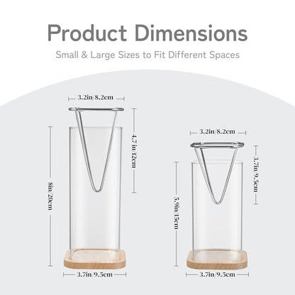 Avocado Seed Growing Kit, Set of 2 Glass Vases with Stainless Steel Holder & Wood Base, Avocado Growing Vase Hydroponic Propagation Starter Kit for Sprouting, Home Decor Plant Gift - No Seeds
