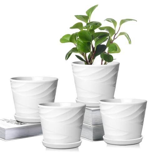 5 Inch Plant Pots,Ceramic Planter with Drainage and Saucer,Ceramic Pots for Plants,Planters for Indoor Plants,Ceramic Flower Pots(5.5 in Diameter,4 Pack) - color: Pure White, size: 5.5 Inch-4 Pack