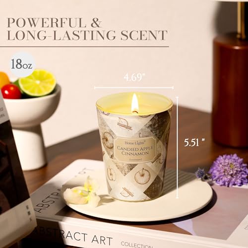 HomeLights Large jar Candle | 1-Wick Long-Lasting Scented Candles, 6.7oz Natural Soy Wax Candle for Home Scented, Rustic Modern Gifts for Women & Men, Candied Apple Cinnamon - color: Candied Apple Cinnamon