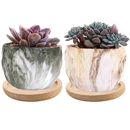 6pcs 3 inch Bamboo Round Plant Saucer, Mini Flower Pot Tray for Cactus Plant Pot Flower Pot Container Planter Bonsai Pots,no Plants Pot - size: 3 Inch