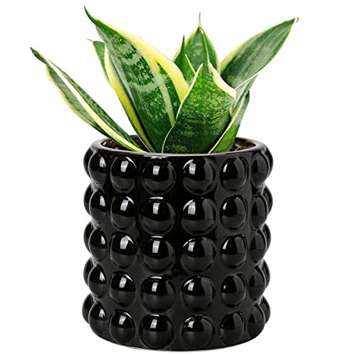 6 Inch Ceramic Planter Pot for Indoor Plants with Drainage Hole Bubble Flower Planter Hobnail Plant Pot Garden Planter Black Succulent Plant Pot Utensil Holder - color: Black # 6 Inch