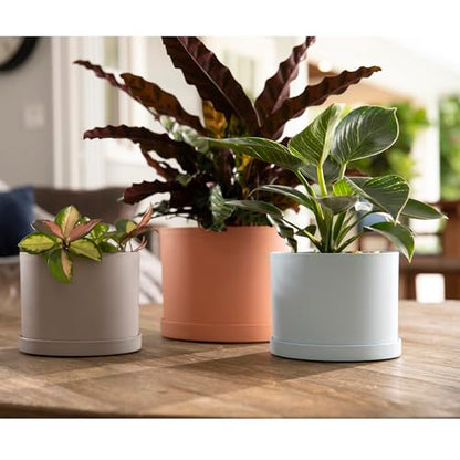 Bloem Mathers 6" Modern Plastic Planter with Saucer, Pebble Stone - color: Pebble Stone, size: 6"