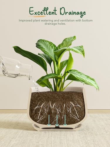 LE TAUCI Plant Pots, 4.1+5.1+6.5 inch, Set of 3, Ceramic Planters with Drainage Hole and Saucer, Indoor Flower Pot with Hole Mesh Pad, Gifts for Mom, Reactive Glaze Beige - color: Reactive Glaze Beige