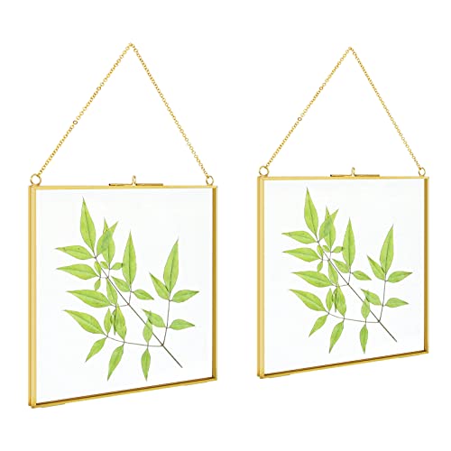 TLBTEK 2 PCS 8x8 inch Brass Hanging Photo Frame,Double Glass Frame for Pressed Flowers,Clear DIY Vintage Artwork Display Frame Wall Mounted Photos Frame - color: 2 pcs 8 x 8 Inch-Gold