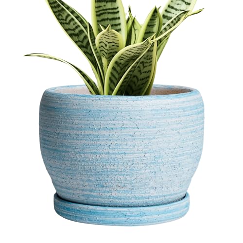 SQOWL Ceramic Planters for Indoor Plants - 6 Inch Plant Pot Indoor Outdoor, Decorative Flower Pot with Drainage Hole and Saucer, Round Succulent Planter, Home Apartment Decor, Garden Gifts, Blue - color: Brushed Blue, size: 6 Inch