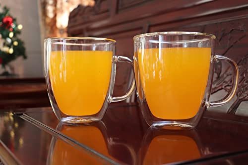 19 oz Double Wall Glass Coffee Mug, Borosilicate Clear Tea Cup with Handle | Large Latte Cappuccino Espresso