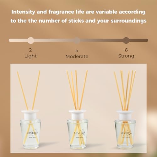 Lavender Eucalyptus Essential Scented Oil Reed Diffuser Set | 3.38 fl.oz(100ml)with 6 Sticks,Home Fragrance for Office,Bedroom,Bathroom Decor