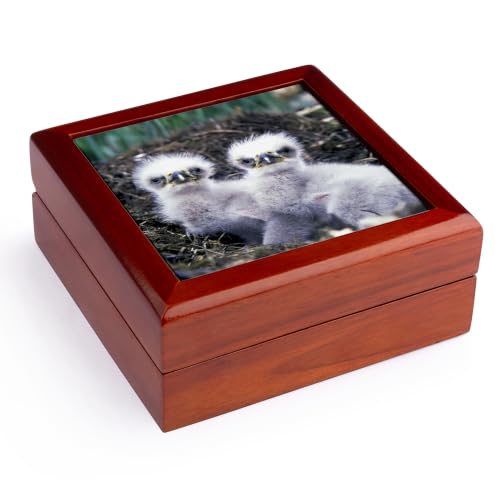 3dRose White baby eagles. Jewelry Box 7 x 7 inch with 4 inch tile